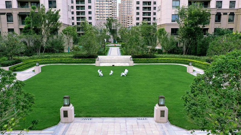 商業住宅景觀實景展示
